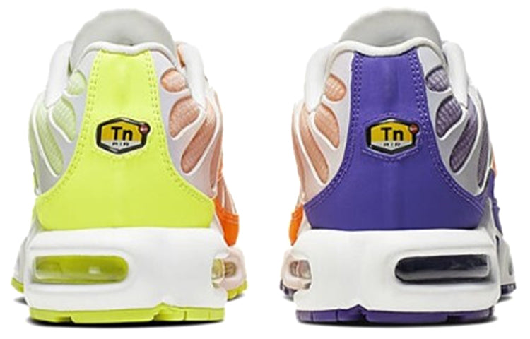 Nike Air Max Plus 'Color Flip' CI5924-531