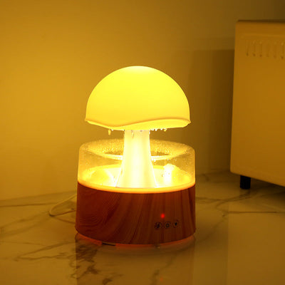 Cloud rain humidifier