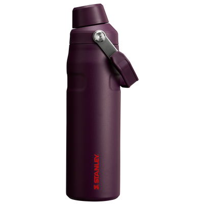 IceFlow™ Bottle with Fast Flow Lid | 24 OZ