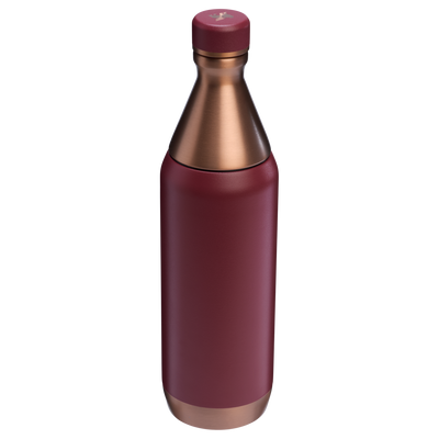 The Holiday All Day Slim Bottle | 20 OZ