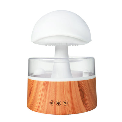 Cloud rain humidifier