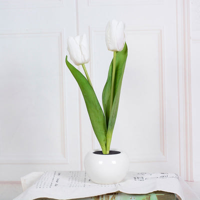 Tulip table lamp