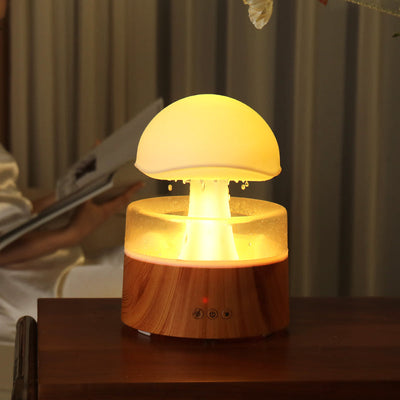 Cloud rain humidifier