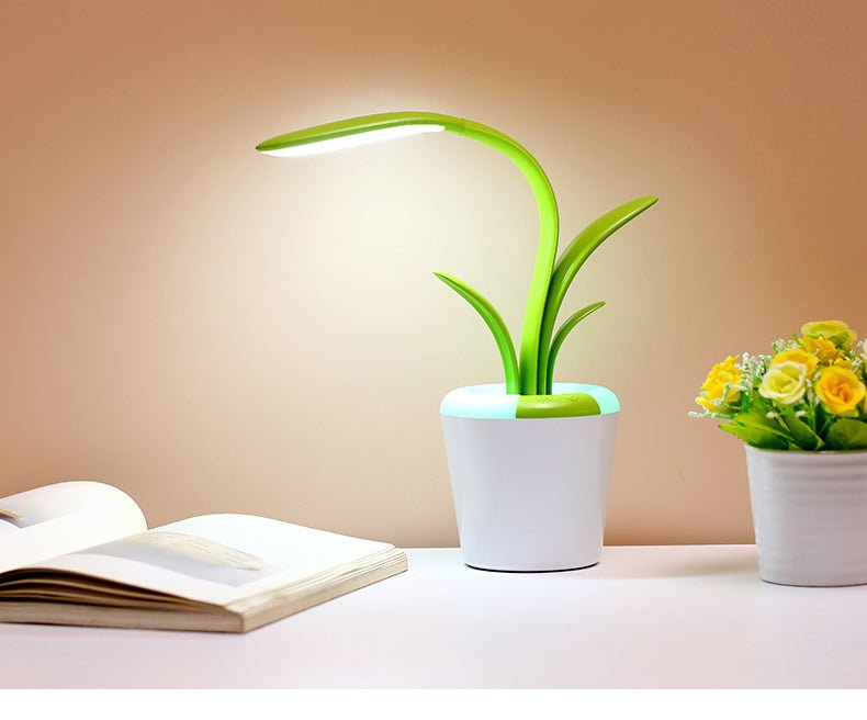 Lamp plant